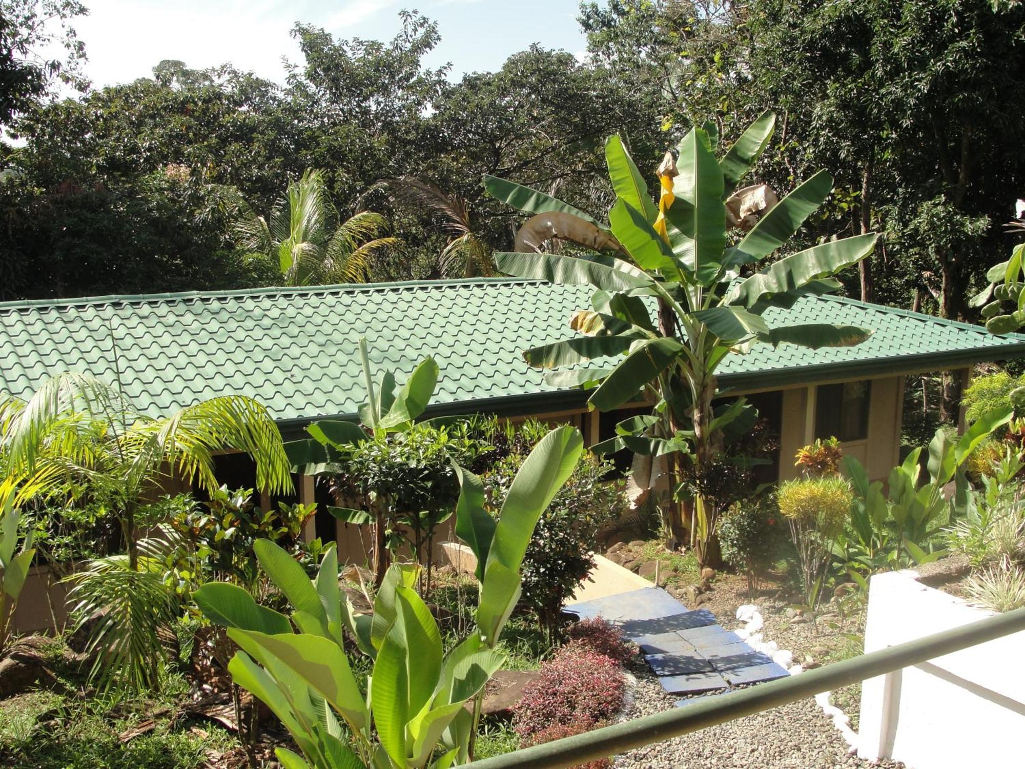 Big Bamboo De Uvita Hotell Eksteriør bilde