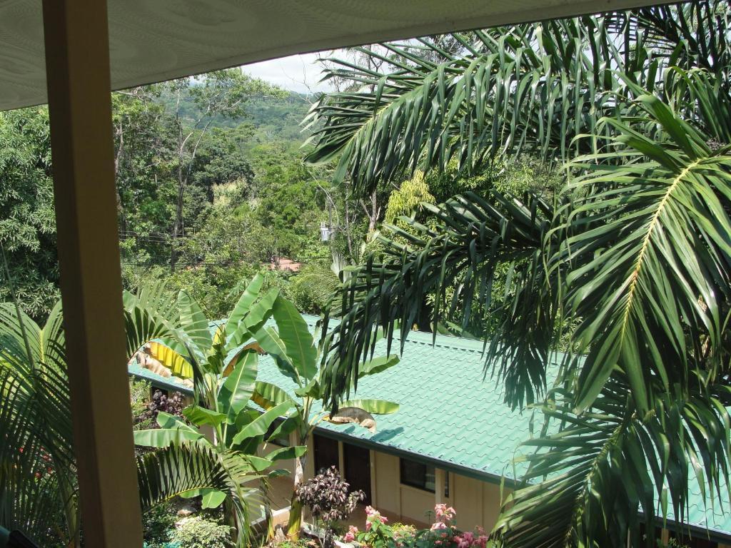 Big Bamboo De Uvita Hotell Rom bilde