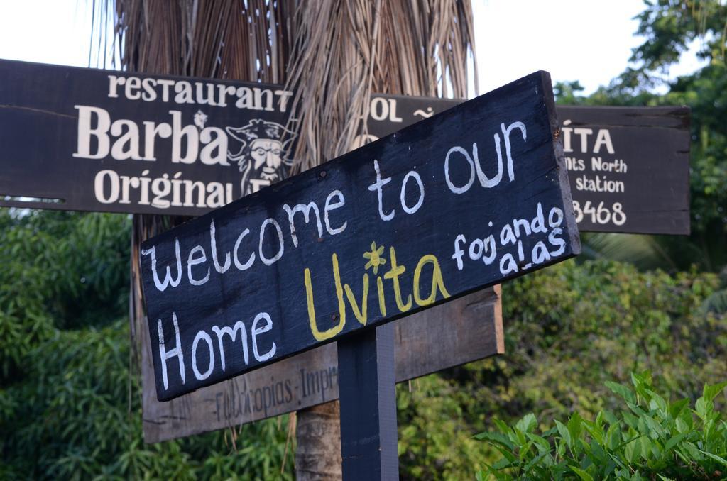 Big Bamboo De Uvita Hotell Eksteriør bilde